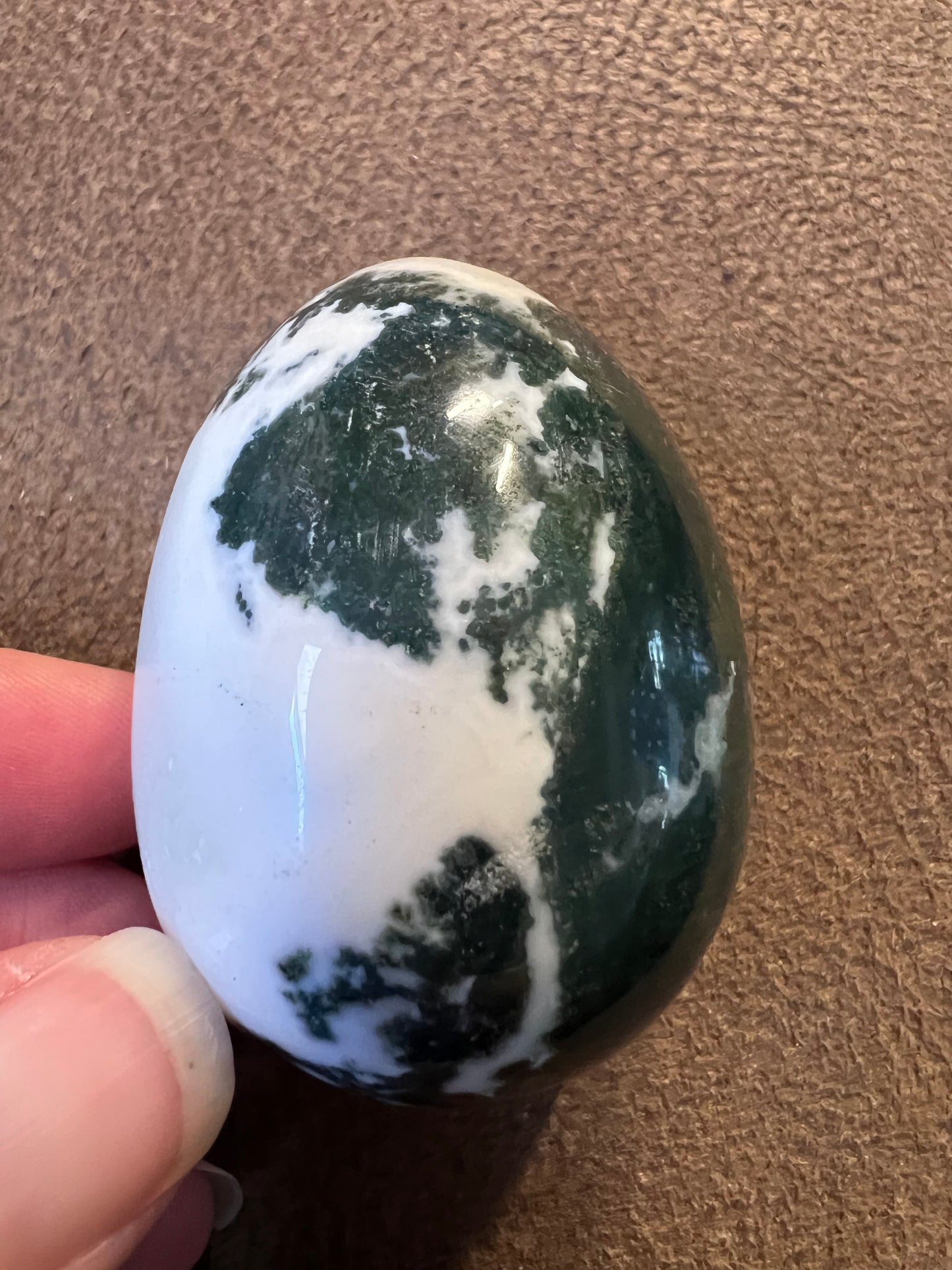 Tree agate egg