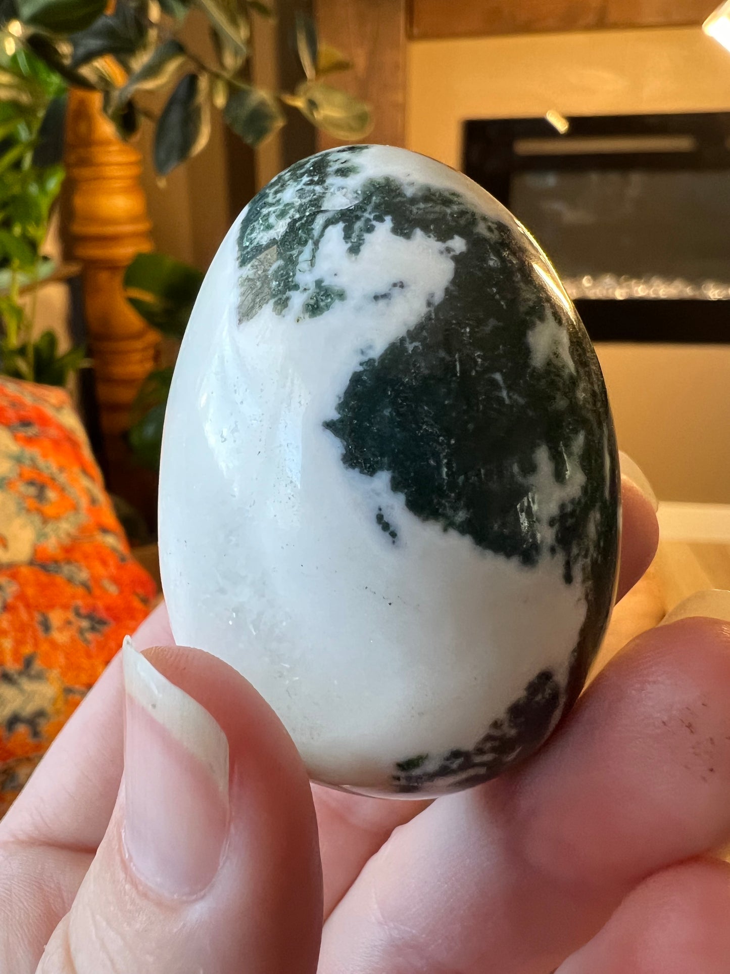 Tree agate egg