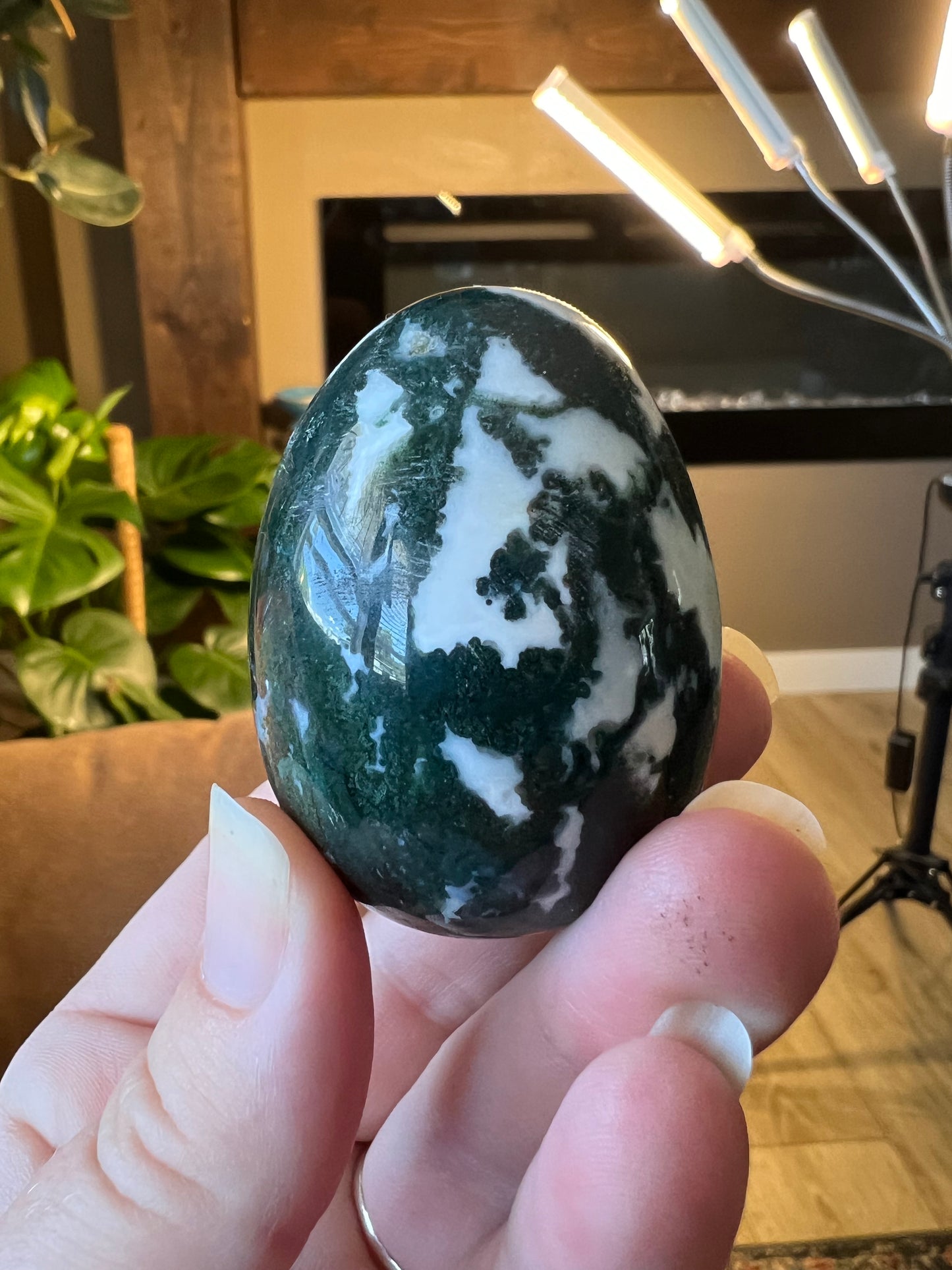 Tree agate egg