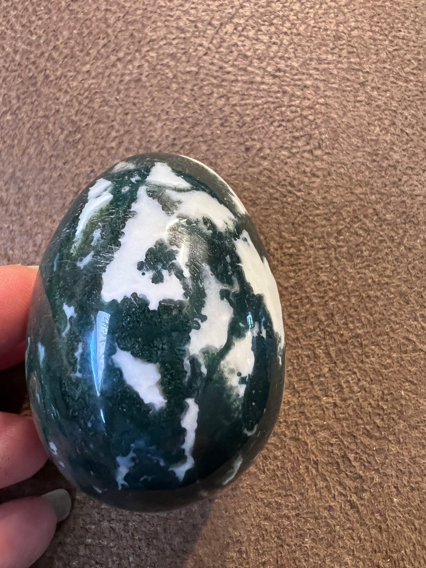 Tree agate egg