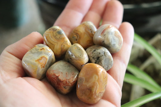Crazy Lace Agate Tumbled stones